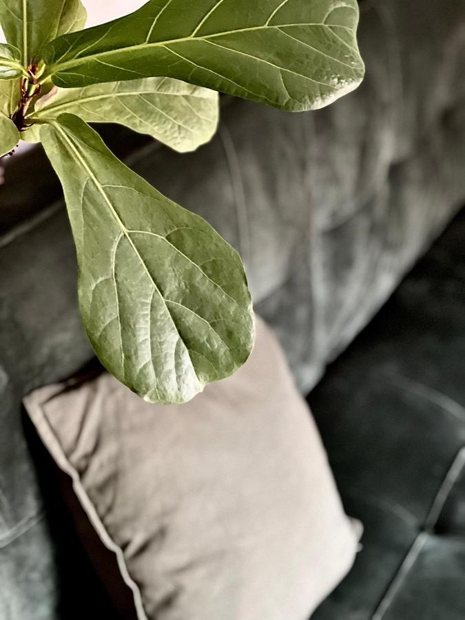 Aparthotel Boutique Rezidence Baar